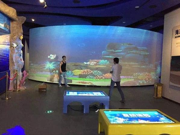 畫畫水族館5